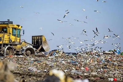 Ярославские депутаты поддержали мусорную концессию