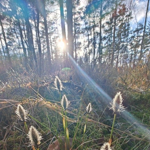 Источник: Каждой твари по паре | Павел Глазков