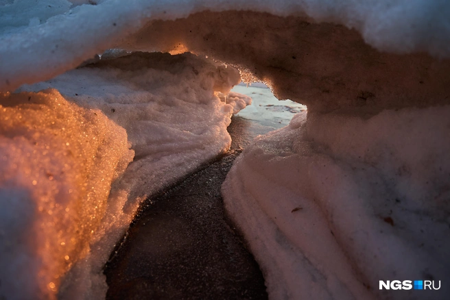 Источник: Александр Ощепков / NGS.RU