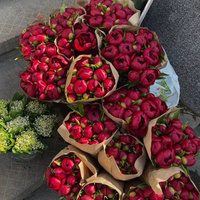 Аватарка Сара