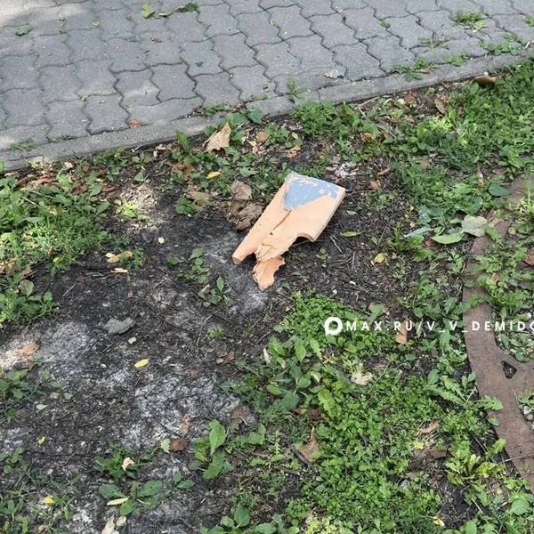 Источник: Официальный телеграм-канал мэра Белгорода