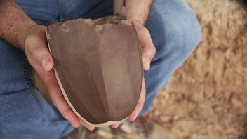 Источник: Emil Aladjem, Israel Antiquities Authority