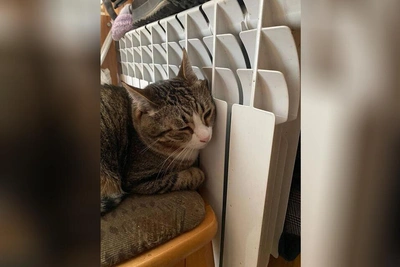 Министр ЖКХ Забайкалья доложил о запасах угля и отопительном сезоне