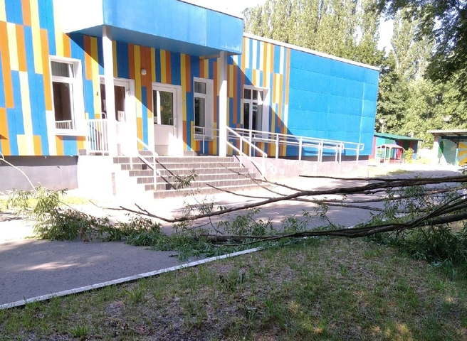 На Касимовском шоссе дерево упало у входа в детский сад | ya62.ru