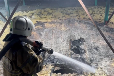 Пожар на ферме в Зауралье: погибли 2500 поросят