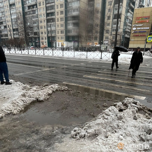 Источник: читатели «Фонтанки»