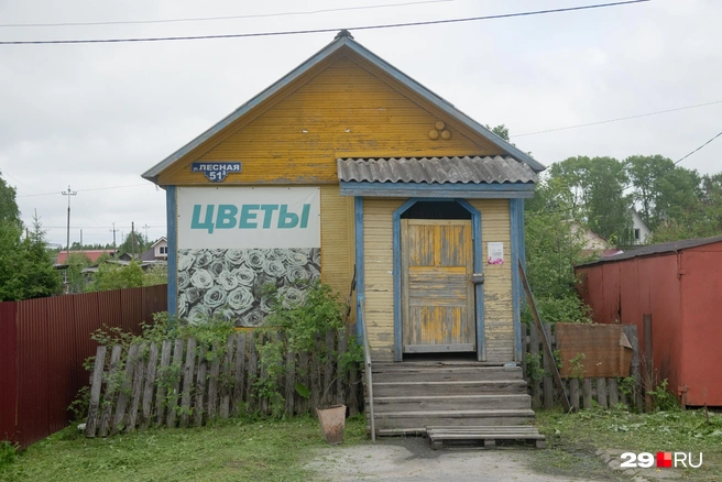 Источник: Иван Митюшёв / 29.RU 