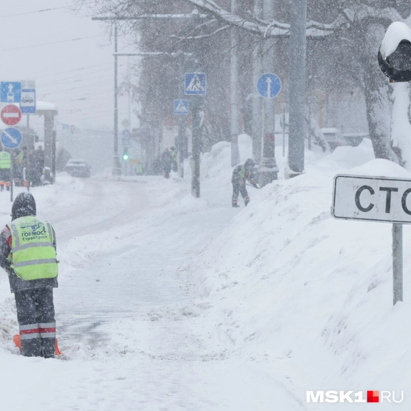 Источник: Дмитрий Толстошеев / MSK1.RU
