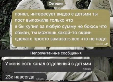 Скриншоты переписки с девушкой&nbsp;— она предлагает подписку на канал с детской порнографией | Источник: shamil_m58 / Instagram*