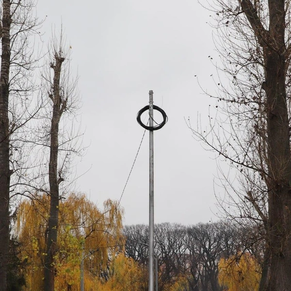 Источник: t.me/saratovduma