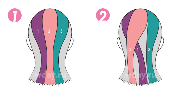 Схема косичек на голове