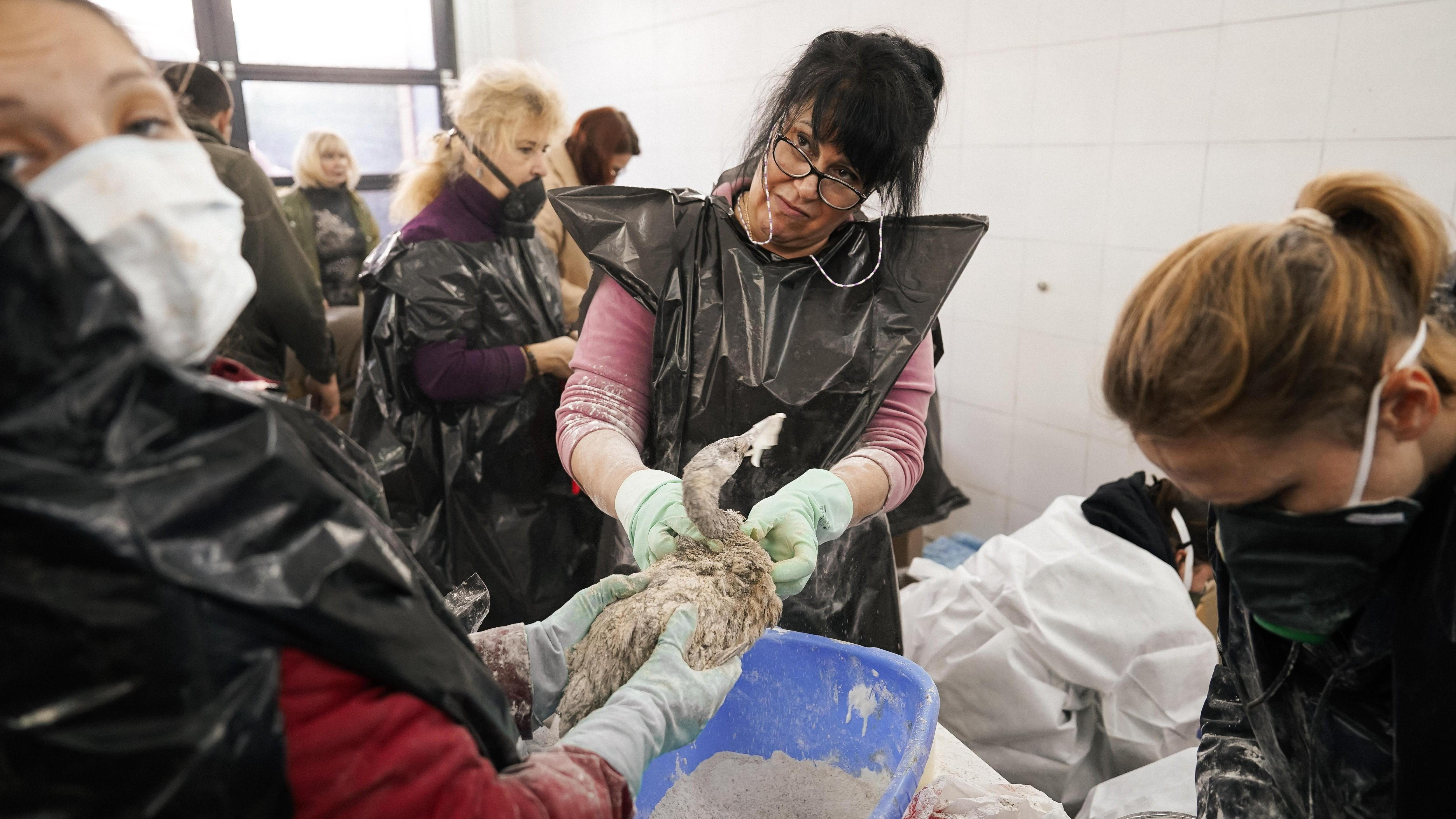 «Напоминает фильм ужасов». Что происходит в Анапе после того, как в море затонули танкеры с тысячами тонн мазута