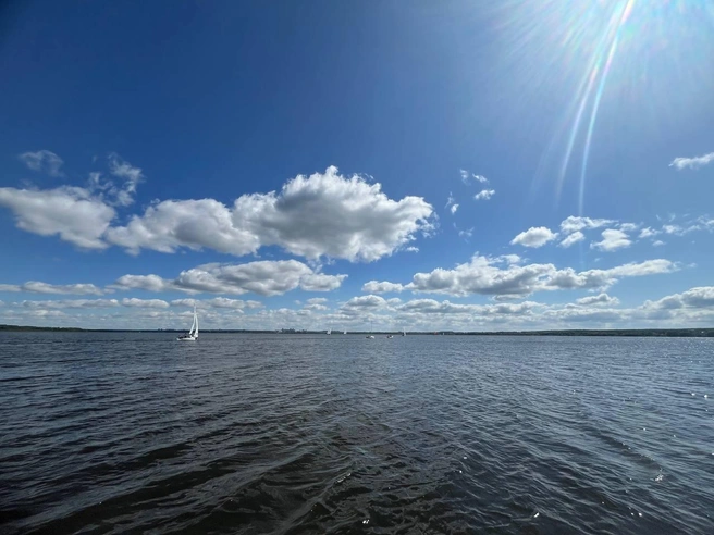 Как вам Шершневское море? | Источник: 74.RU