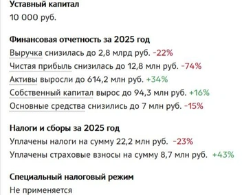 Финансовая отчетность | Источник: Checko.ru