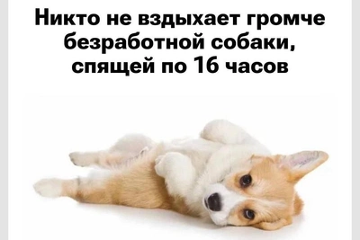 20+ смешных мемов и картинок недели для настроения