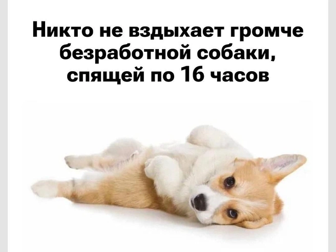 Смешные мемы и картинки | Источник: Городские медиа