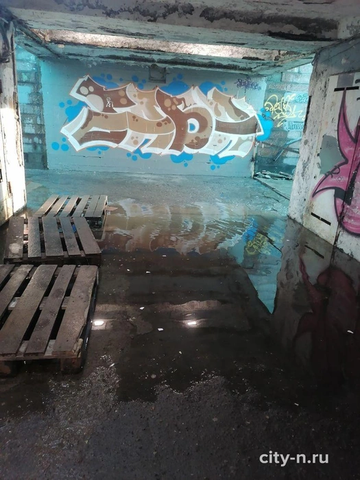 Источник: city-n.ru