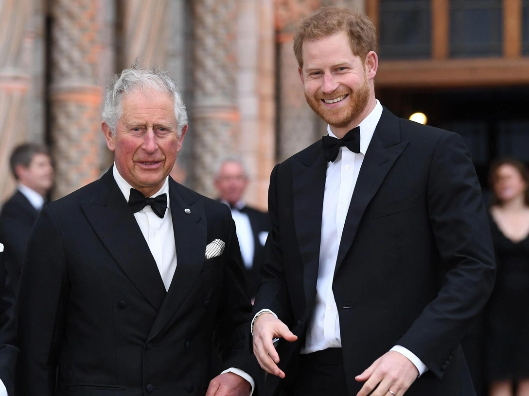 Мирное предложение, которое принц Гарри сделал королевской семье | marieclaire.ru