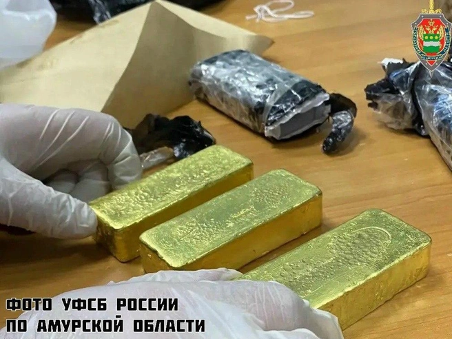 Золотые слитки, изъятые в аэропорту Благовещенска | Источник: УФСБ России по Амурской области