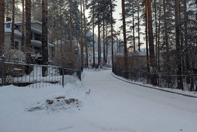 Abducted businessman's son took taxi with girl before vanishing