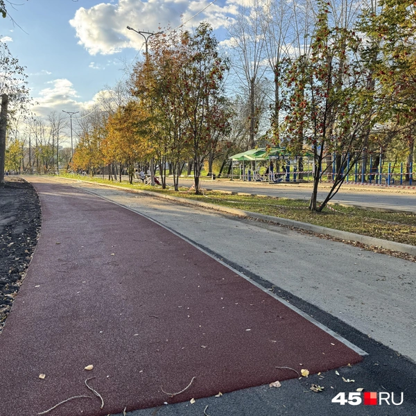 Источник: Юлия Король / 45.RU