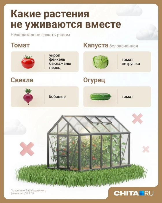 Источник: Евгения Бикунова / Городские медиа
