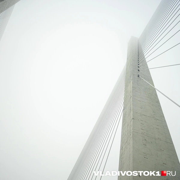 Источник: Елена Буйвол / VLADIVOSTOK1.RU