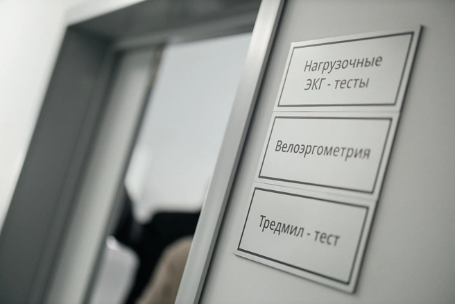 Источник: Ксения Зимина