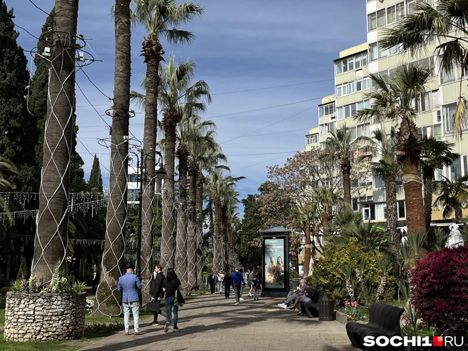 В Сочи отменили угрозу атаки БПЛА | Источник: Анна Грицевич / SOCHI1.RU
