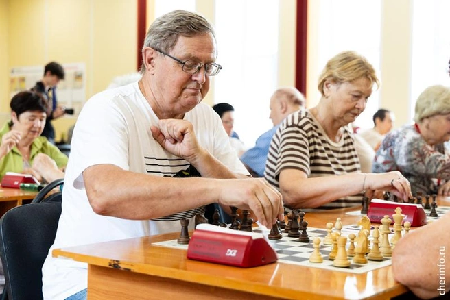 Источник: st.cherinfo.ru
