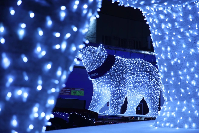 Показываем красивые и интересные места в городе | Источник: Ирина Шарова / 72RU