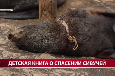 Сахалинская детская книга учит спасать животных от мусора