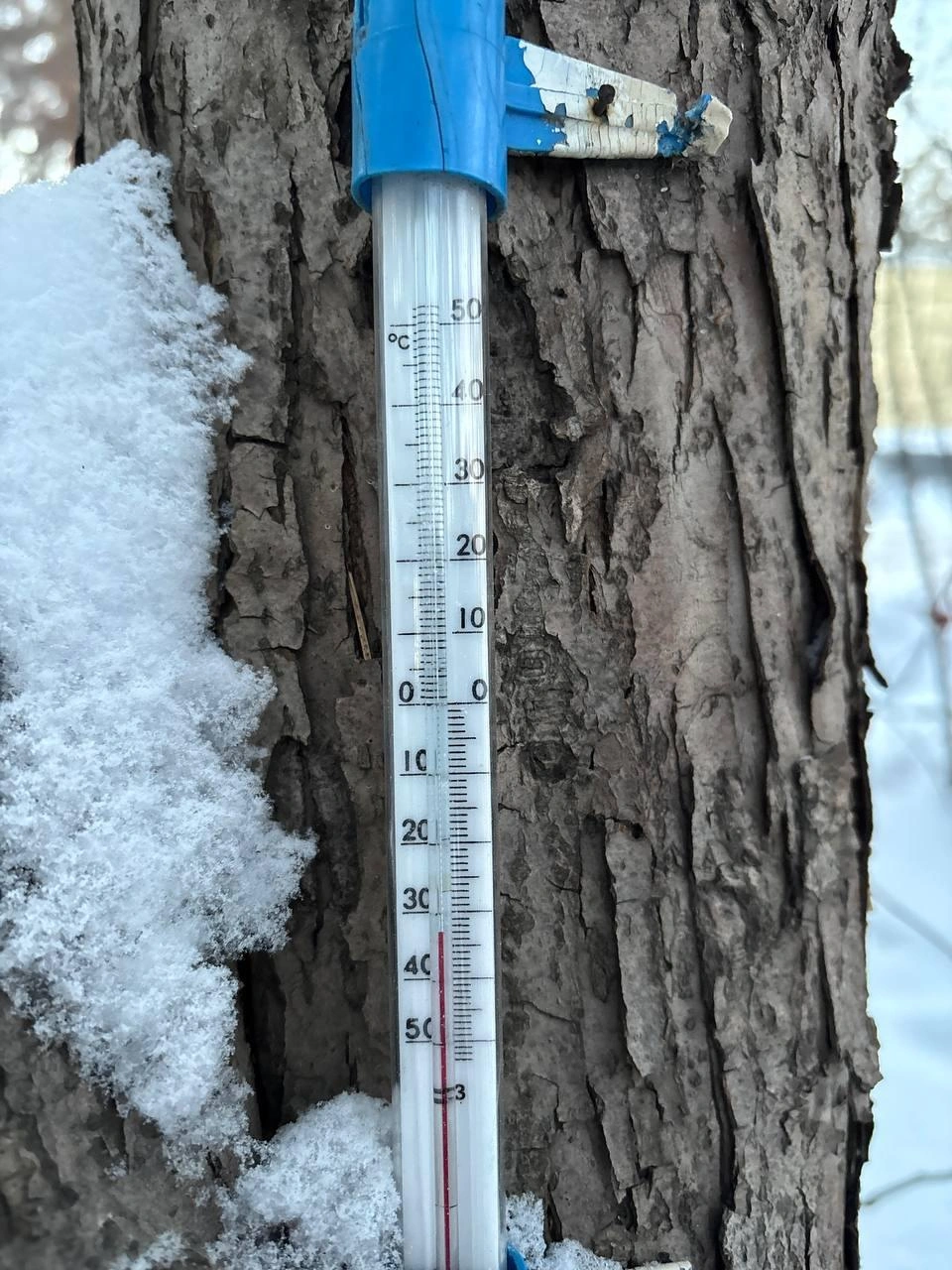 В Парке Гагарина -33 ℃ | Источник: читатель 74.RU
