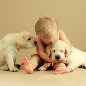 Дети и домашние животные: чем опасна их дружба?