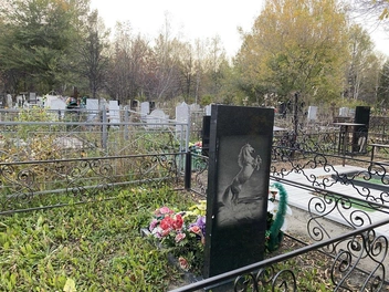 Лошадь изображена вставшей на дыбы | Источник: Ирина Господаренко / NGS22.RU