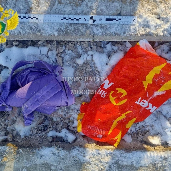 Источник: Прокуратура Москвы / T.me