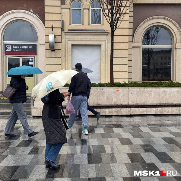Жителей Москвы застала непогода врасплох | Источник: Дмитрий Толстошеев / MSK1.RU