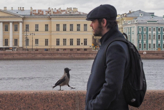 «Холодно и дождливо». Что ждет петербуржцев в воскресенье? | Источник: Михаил Огнев / «Фонтанка.ру»