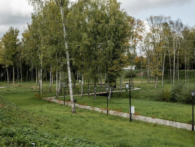 Большой парк с березами — одно из мест отдыха в городе | Источник: Александр Куренной / 76.RU
