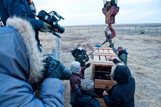 Так завозили лошадей в заповедник «Оренбургский» | Источник: orenzap.ru