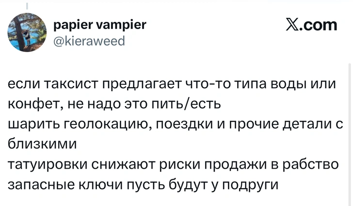 Источник: X (Twitter)