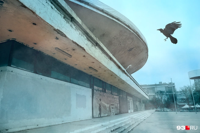 Волк слабее льва, но в цирке не выступает | Источник: Мария Романова / 93.RU