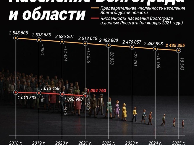 Источник: Полина Авдошина / V1.RU