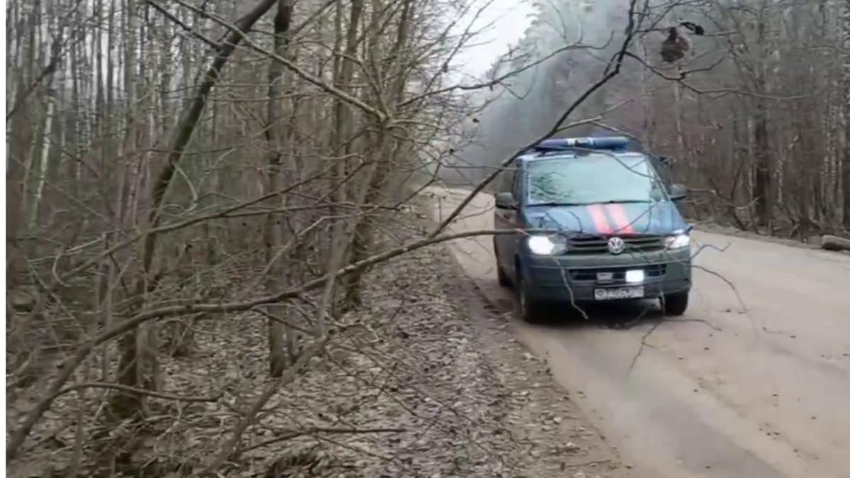 В канаве под Петербургом нашли сумку с останками женщины: новости 11 ноября