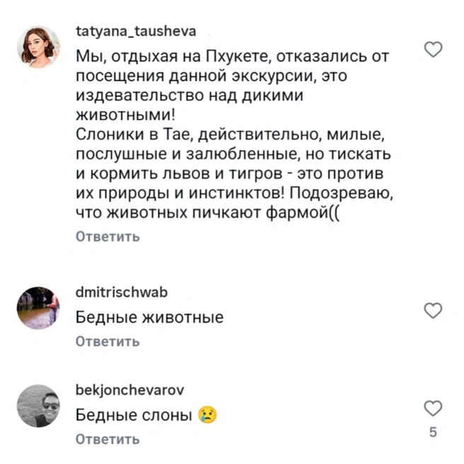 Источник: maksimartist / Instagram (экстремистская организация, деятельность запрещена на территории РФ)