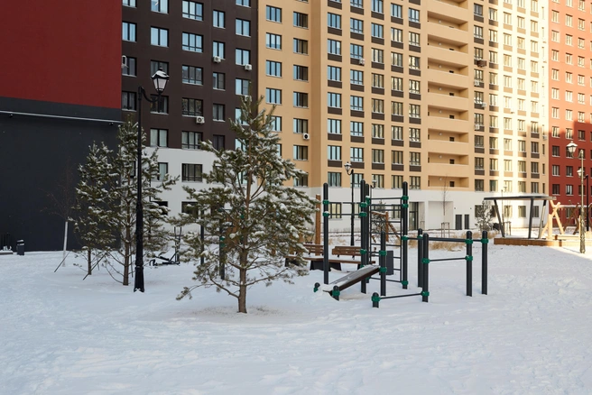 Хвойные высадили со стороны калитки, которая ведет на центральную площадь, сделав спортивную площадку более уединенной | Источник: PRINZIP