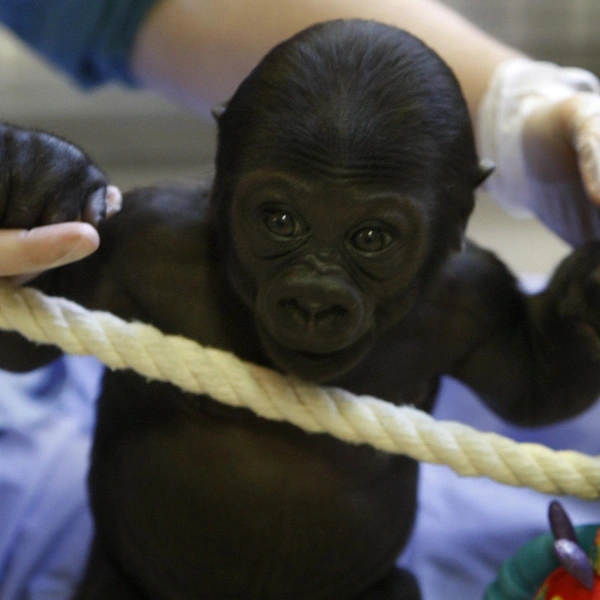 Источник: Соцсети