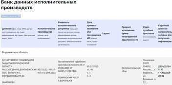 Источник: Федеральная служба судебных приставов / fssp.gov.ru