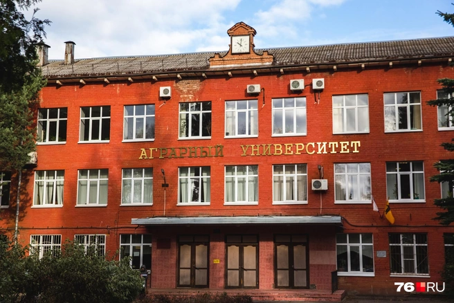 Студенты Аграрного университета получают стипендию от Россельхозбанка | Источник: Кирилл Поверинов / 76.RU