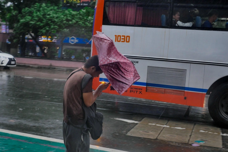 Источник: Matrix Images